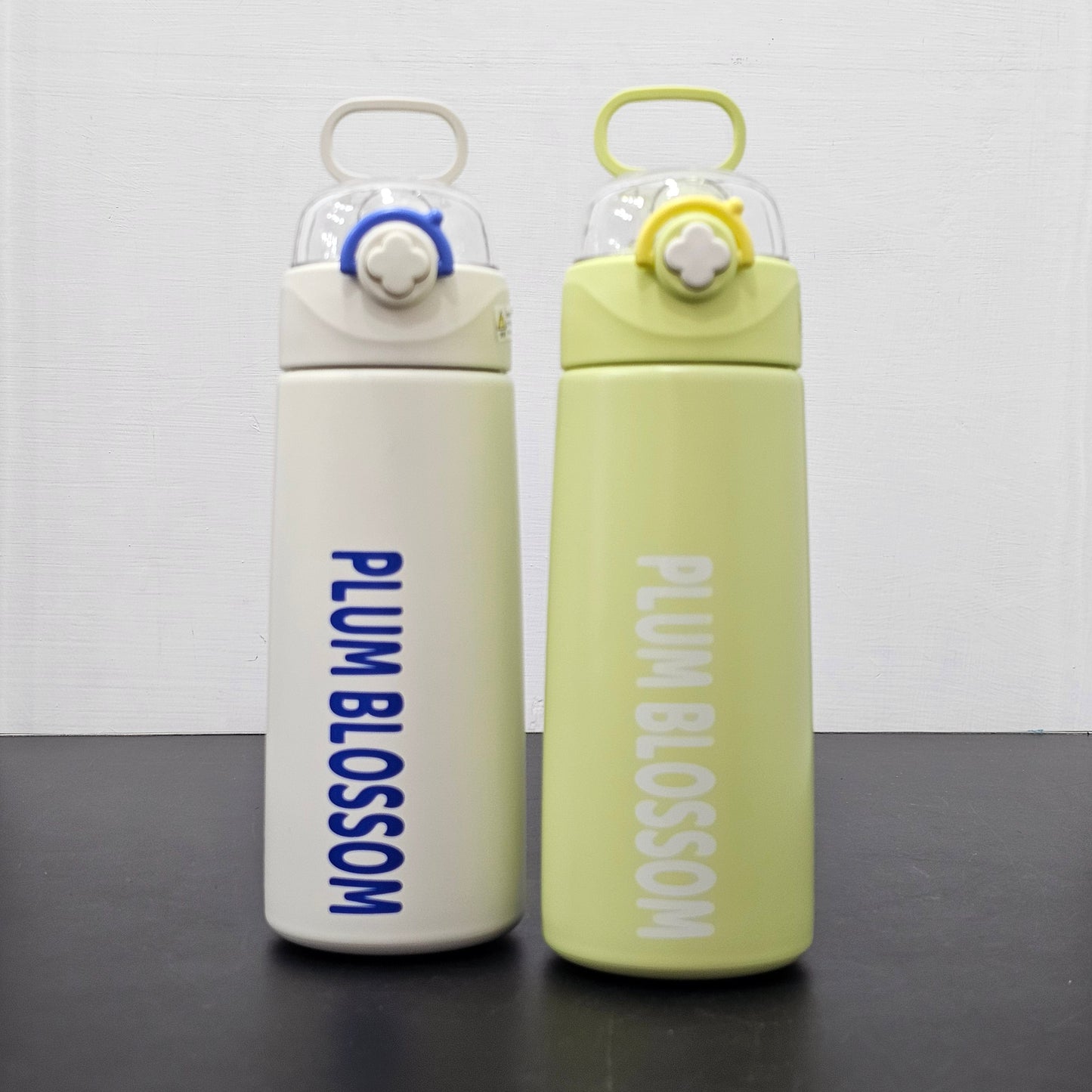 Plum Blossom Insulated Steel Water Bottle | Stylish & Durable Thermal Cup β Golu Baby