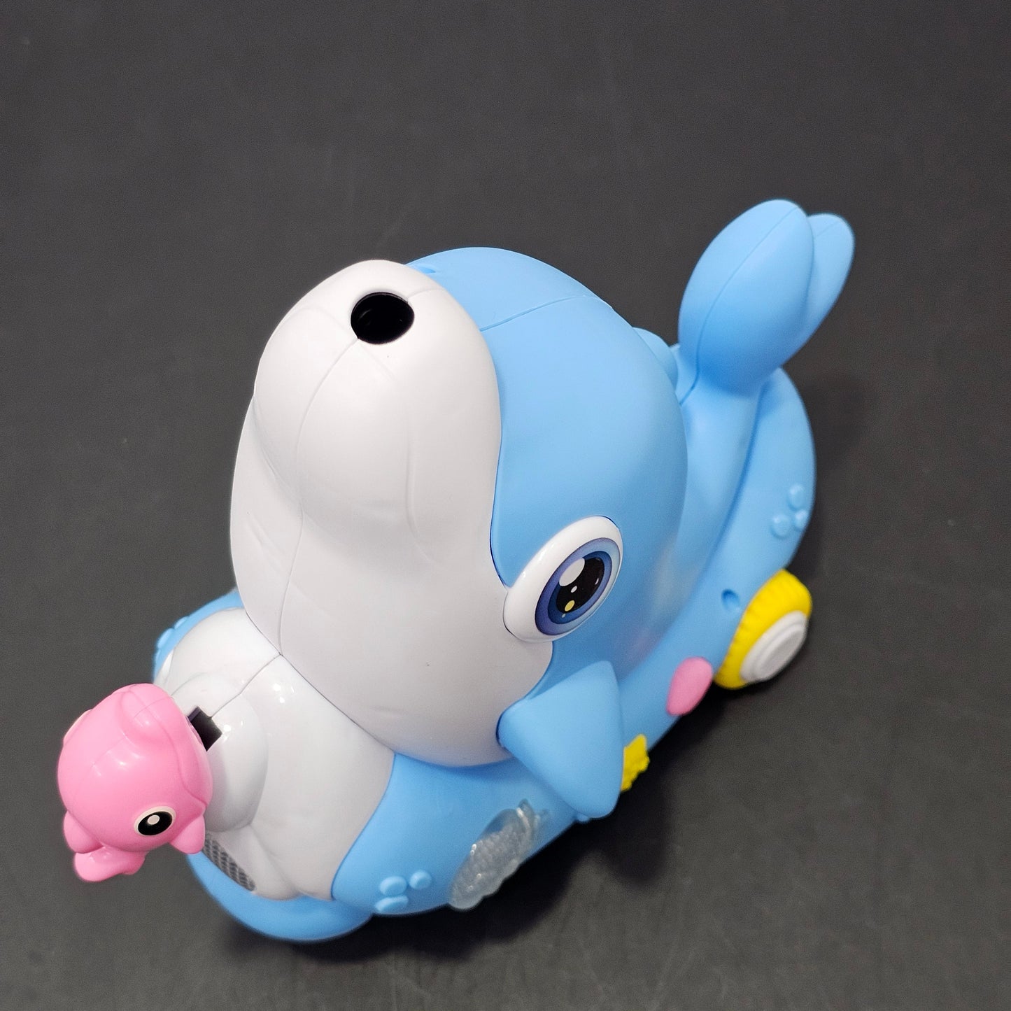 Dolphin Concert Music Toy – Lights, Sounds & Learning Fun | Golu Baby