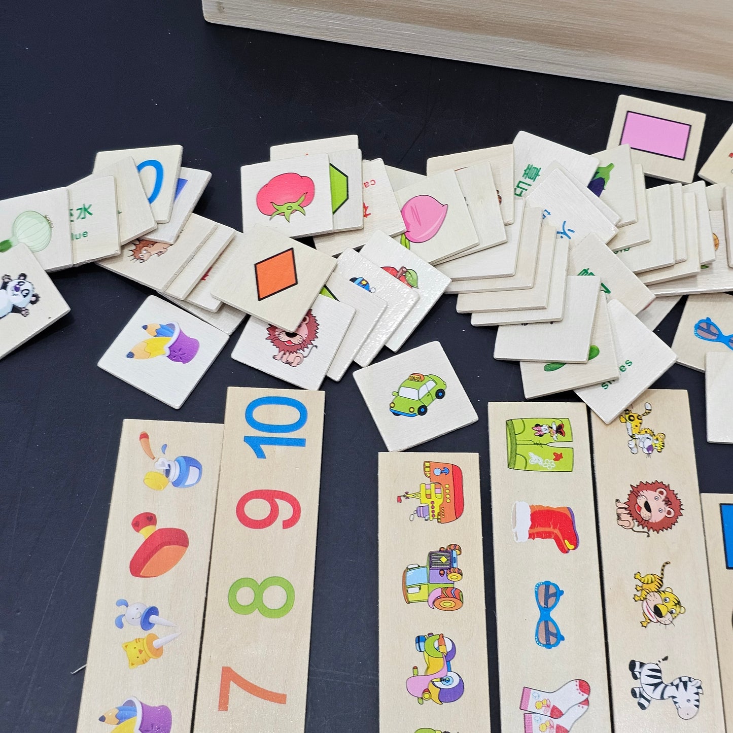 Knowledge Classification Box – Educational Sorting Toy for Kids |Golu Baby